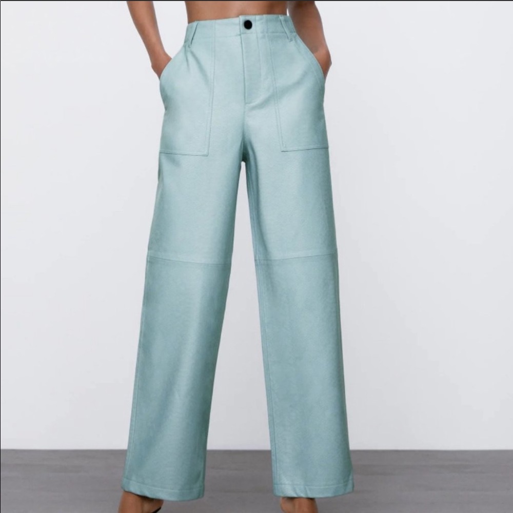 Zara Faux Leather Snake Pants